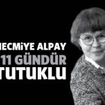 necmiyealpay111gun