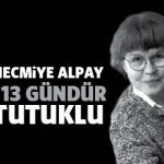 necmiyealpay113gun
