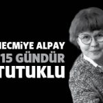 necmiyealpay115gun