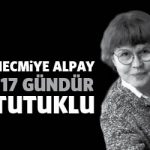 necmiyealpay117gun