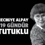 necmiyealpay119gun