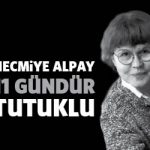 necmiyealpay11gun