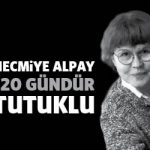 necmiyealpay120gun