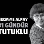 necmiyealpay31gun
