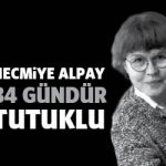 necmiyealpay34gun