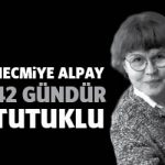 necmiyealpay42gun