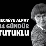 necmiyealpay44gun