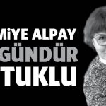 necmiyealpay44tweet