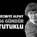 necmiyealpay46gun