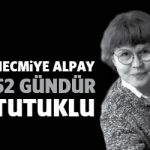 necmiyealpay52gun