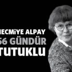 necmiyealpay56gun