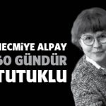 necmiyealpay60gun