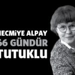 necmiyealpay66gun