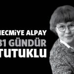 necmiyealpay81gun