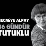 necmiyealpay86gun