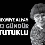 necmiyealpay93gun