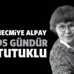 necmiyealpay95gun