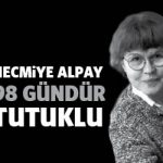 necmiyealpay98gun