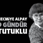 necmiyealpay9gun