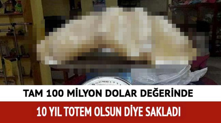 5_mozaik2