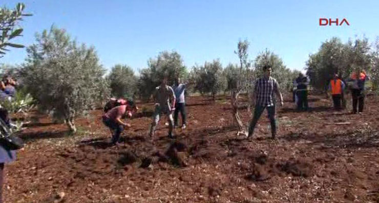 Fotoğraf: DHA