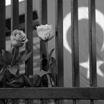 Flowers are placed at the scene of Saturday's blasts in Istanbul