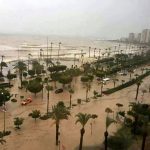 mersin-sel12