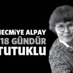 necmiyealpay118gun