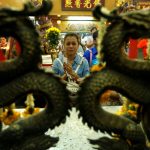 horoz-yili15