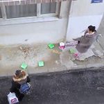 izmir-kedi3