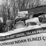 kuzey-ormanlari-belgrad-sb