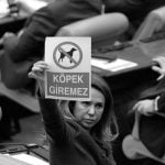 meclis-baskanlik-oylama-kopek-sb