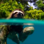 planet-earth2