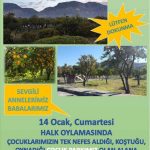 portakal-oylama3