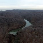 belgrad-ormani