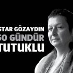 istargozaydin50gun