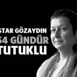 istargozaydin54gun