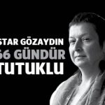 istargozaydin66gun
