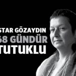 istargozaydin68gun