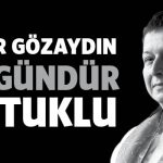 istargozaydin75tweet
