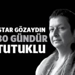 istargozaydin80gun
