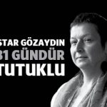 istargozaydin81gun