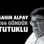 sahinalpay266