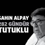 sahinalpay282