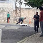 lice-polis