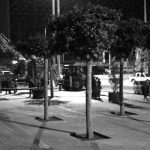 taksim-agac-sb