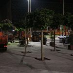 taksim-agac4