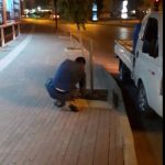 mersin-agac