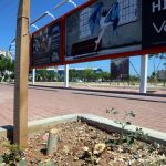 mersin-agac2
