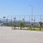soma-tesis3